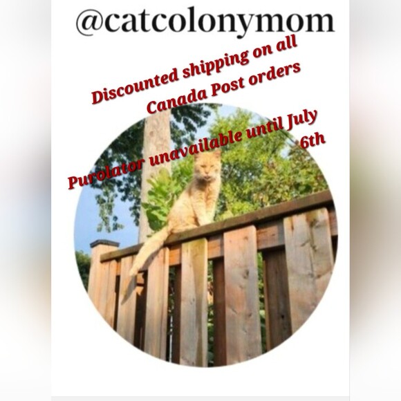 catcolonymom